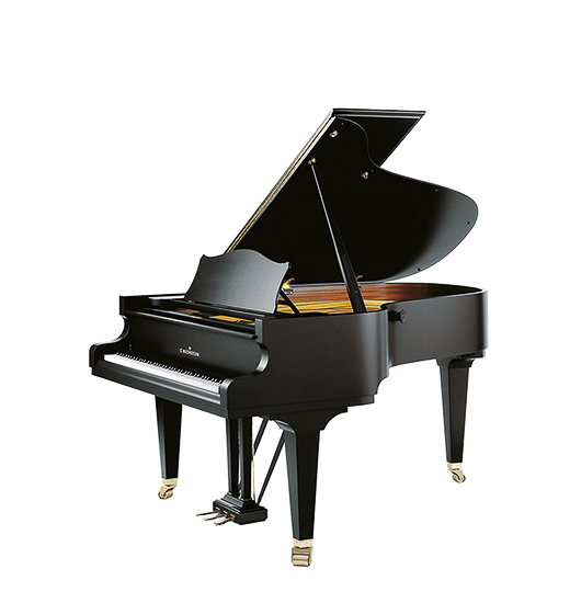 Bechstein A192 | Dumas Piano