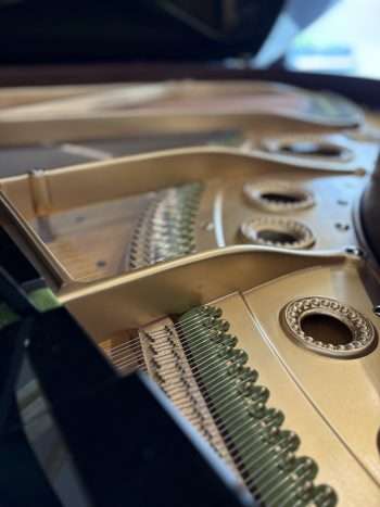 Piano Bechstein B | Dumas Piano