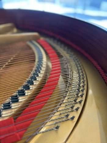 Piano 1/4 queue Euterpe | Dumas Piano