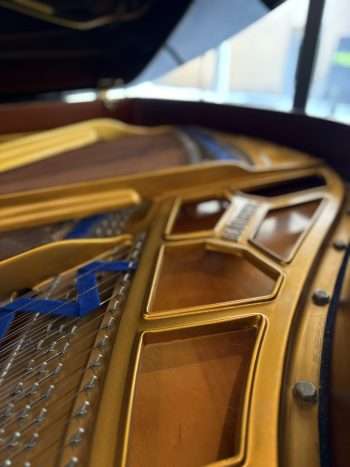 Piano 1/4 queue Blüthner | Dumas Piano