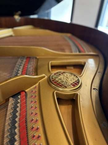Piano 1/4 queue Petrof | Dumas Piano