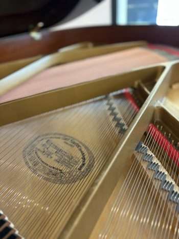 Piano 1/4 queue Sauter | Dumas Piano