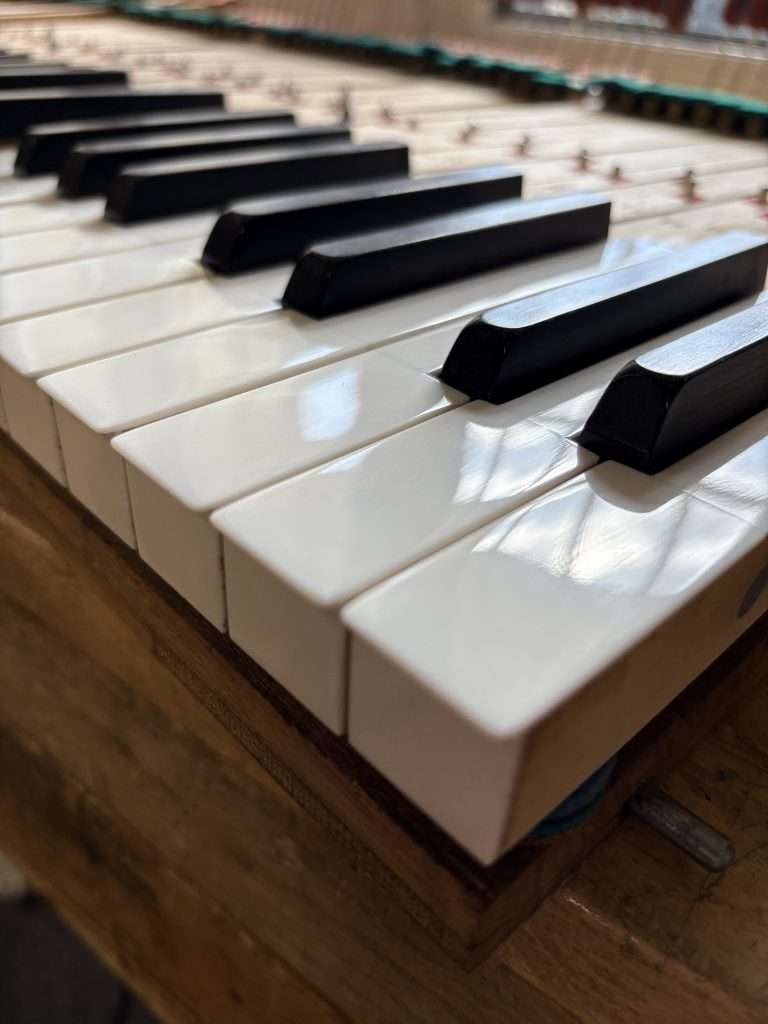 Pleyel 3 bis Samson François | Touches ivoire | Dumas Piano