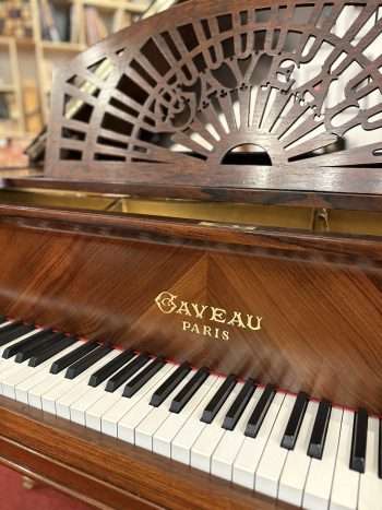 Piano crapaud Gaveau soleil | Dumas Piano