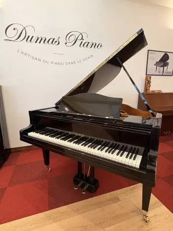 Piano Blüthner 1/4 queue | Dumas Piano