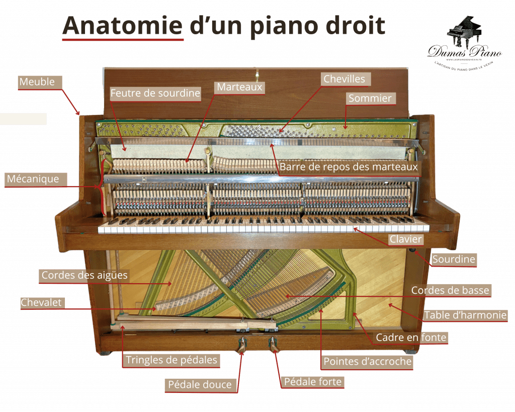 Anatomie d'un piano droit | Dumas Piano